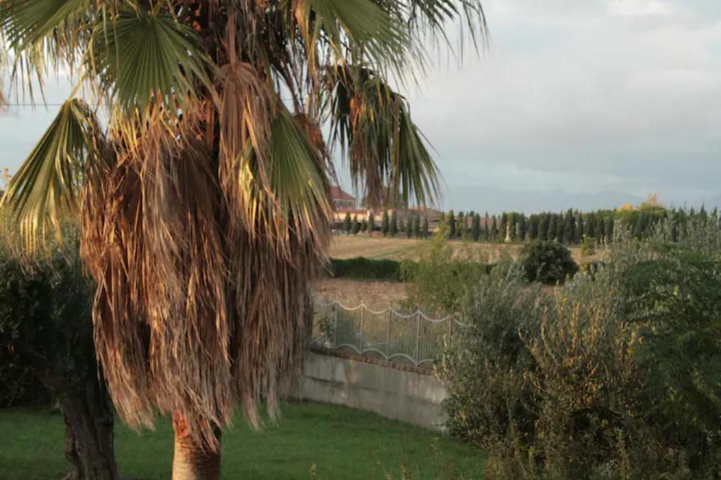 Il Tuffatore B&B Capaccio Екстер'єр фото
